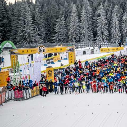 Zimowa oprawa eventowa